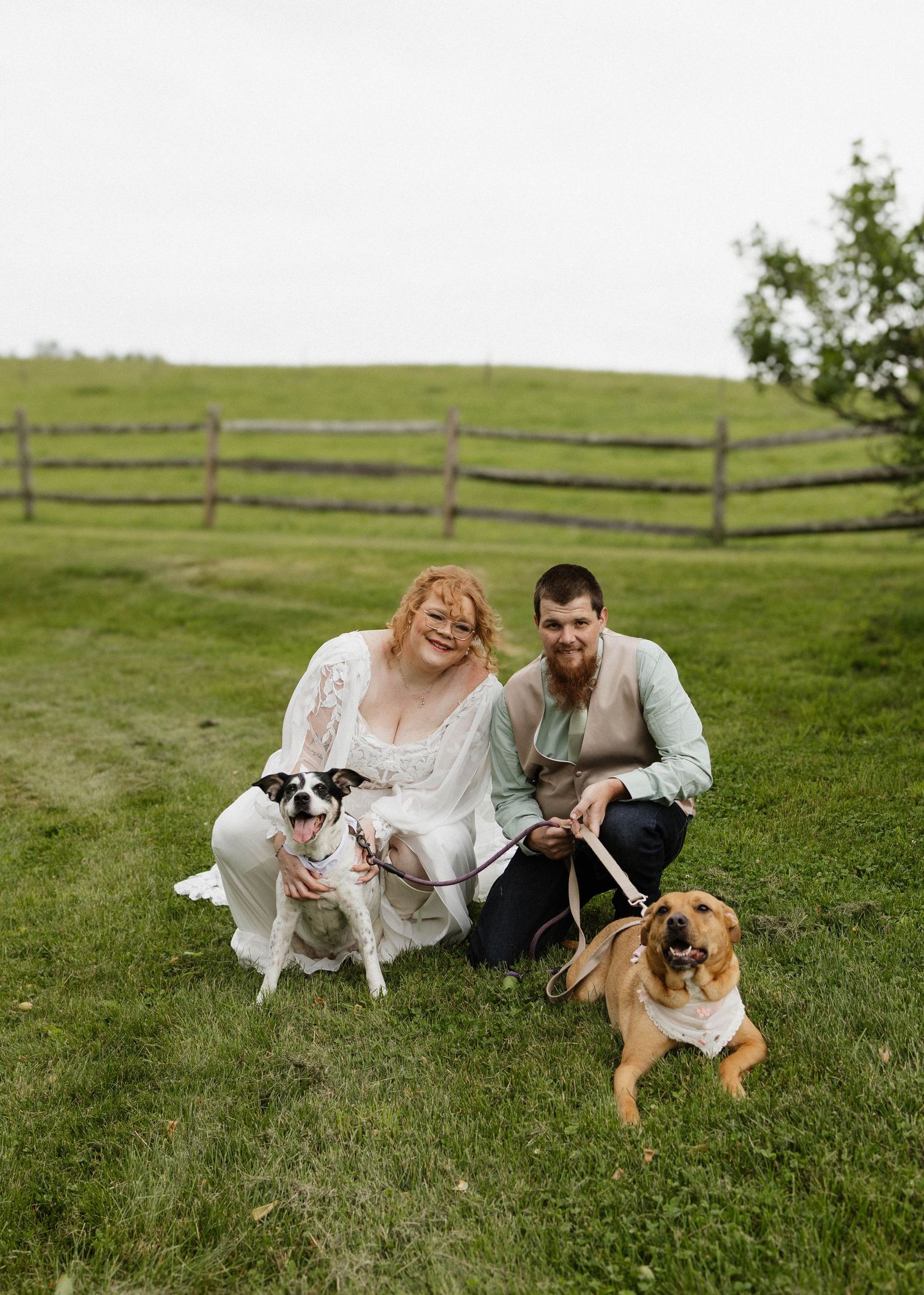 Smiling couple in wedding attire posing with two dogs on green grass near a wooden fence.