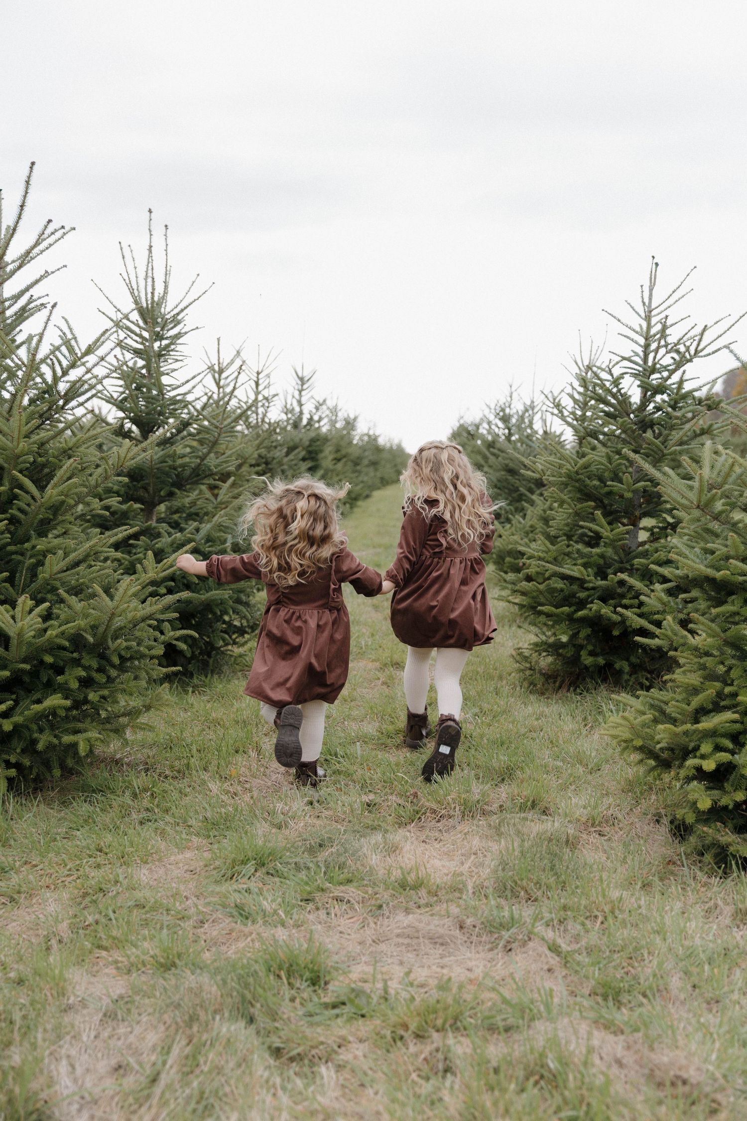 Two people walking through rows of evergreen Christmas trees at a tree farm on an overcast day.