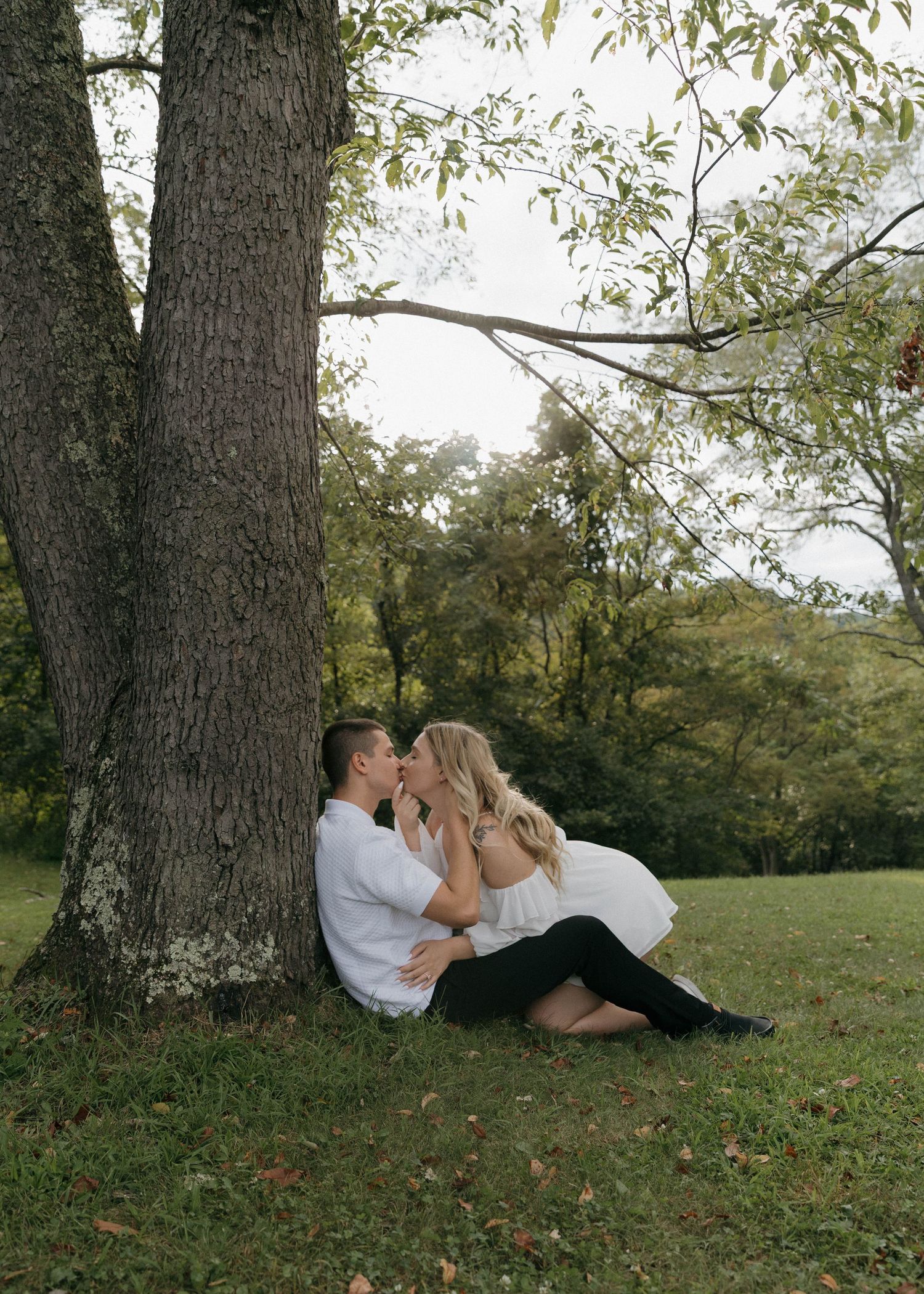 A couple shares a romantic moment while sitting together under a large tree on a grassy lawn.