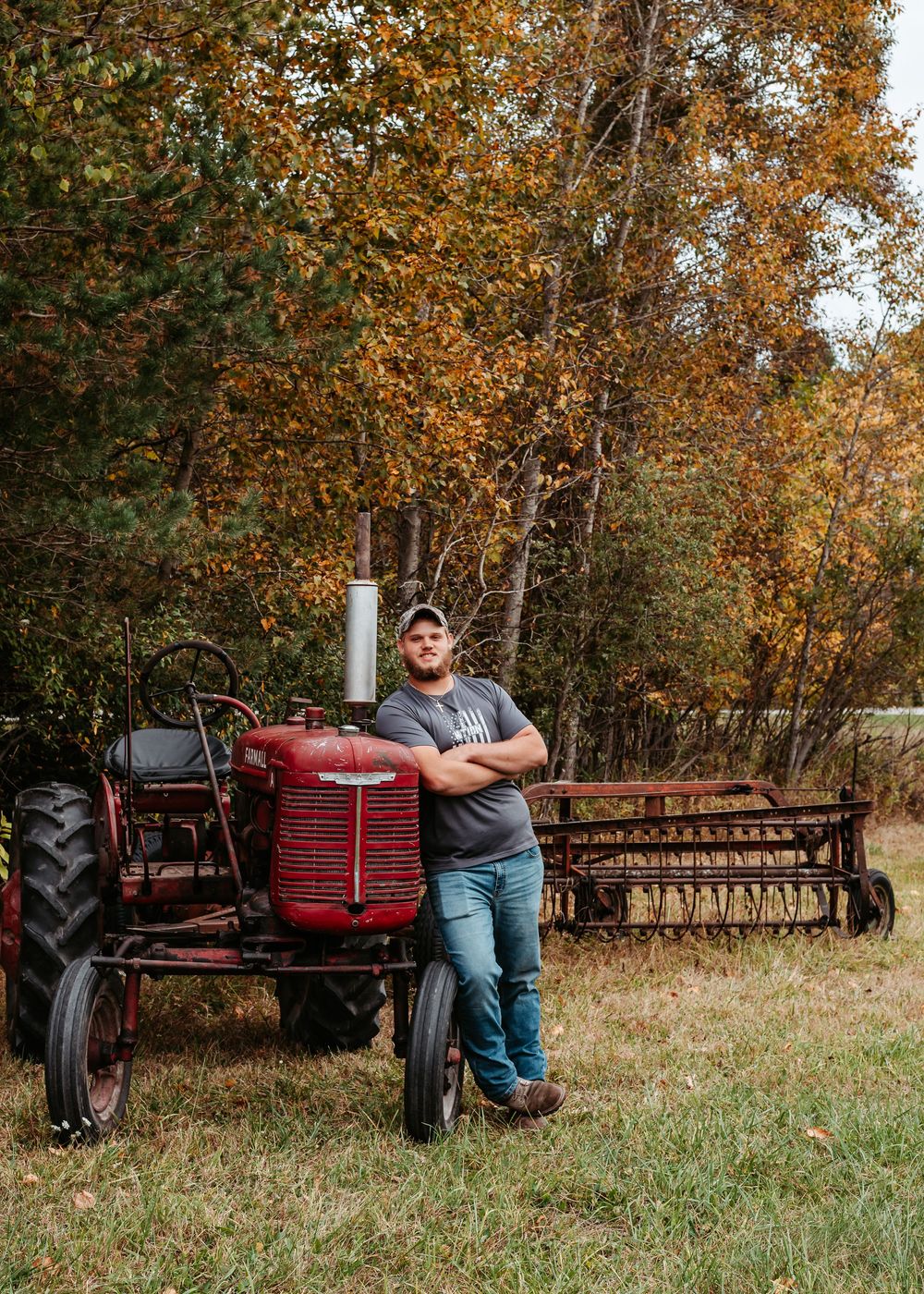 A vintage red Farmall tractor with disk harrow attachment sits in a field surrounded by autumn trees with golden foliage.