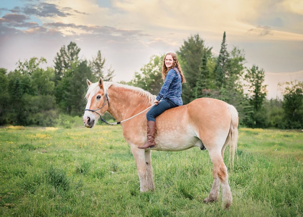 A rider sits astride a majestic palomino draft horse in a serene green meadow during golden hour.