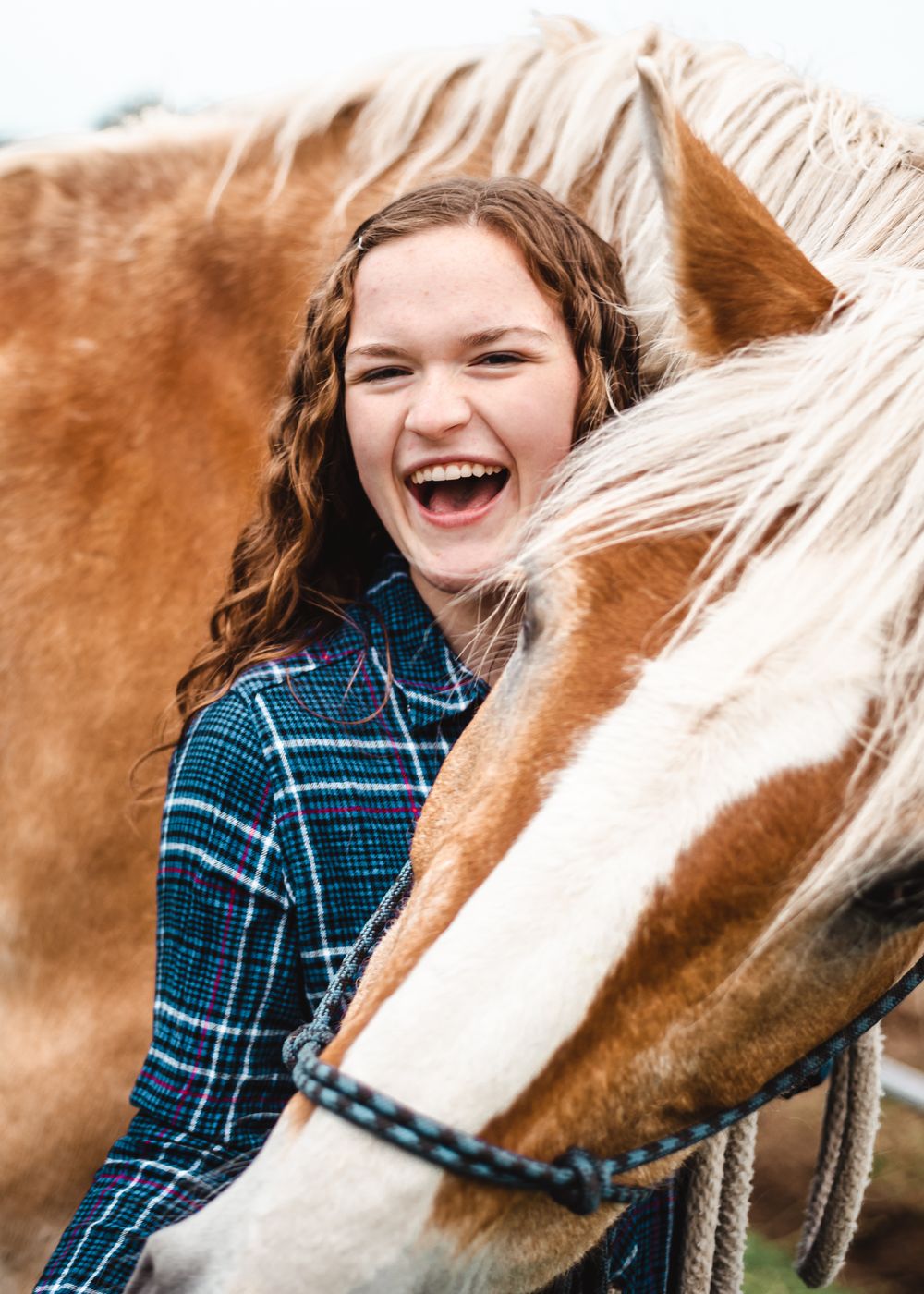 A joyful moment shared between an equestrian in a plaid shirt and their brown and white horse in natural lighting.