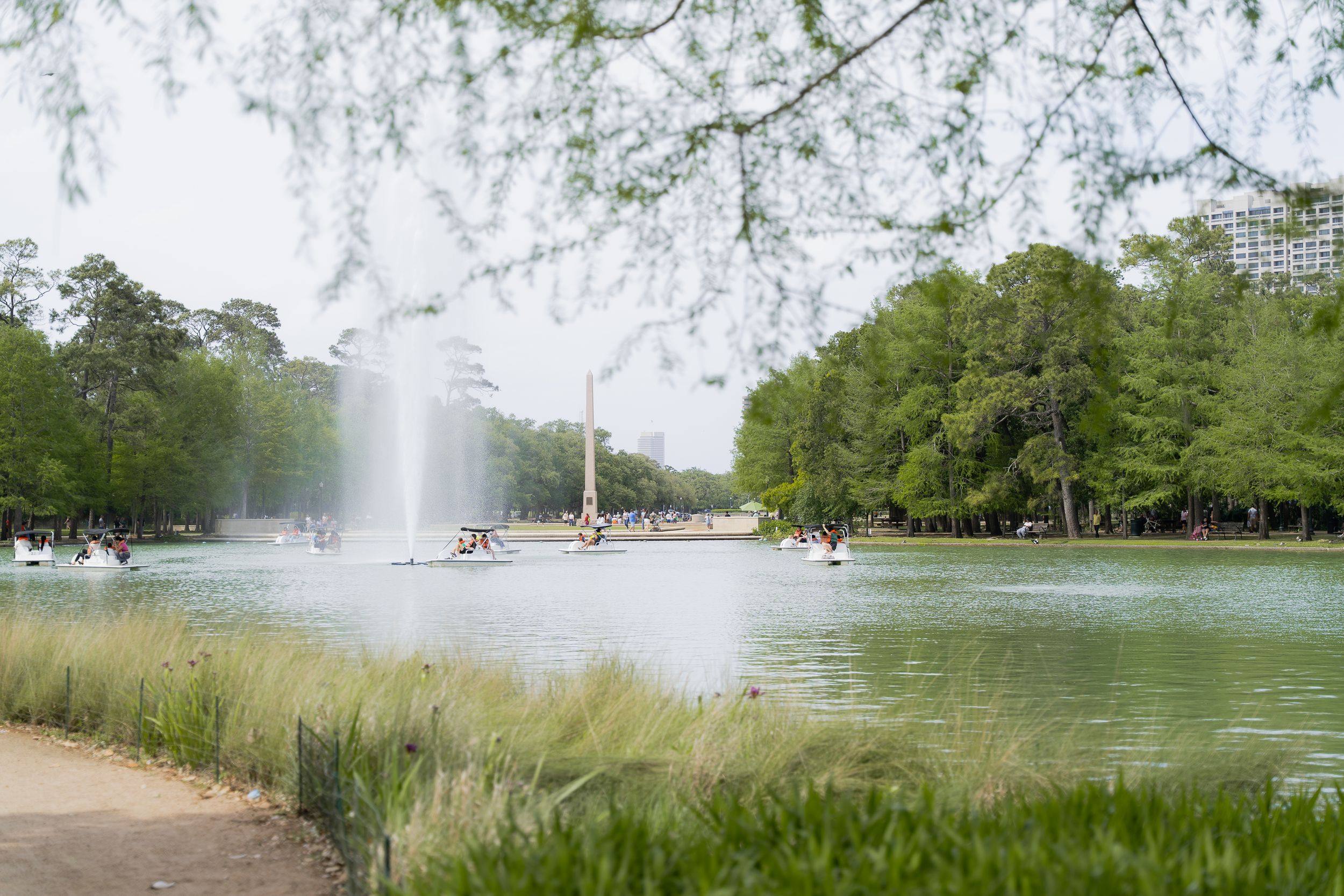 Scenic pond with fountain spray and walking path surrounded by lush green trees in a peaceful park setting.