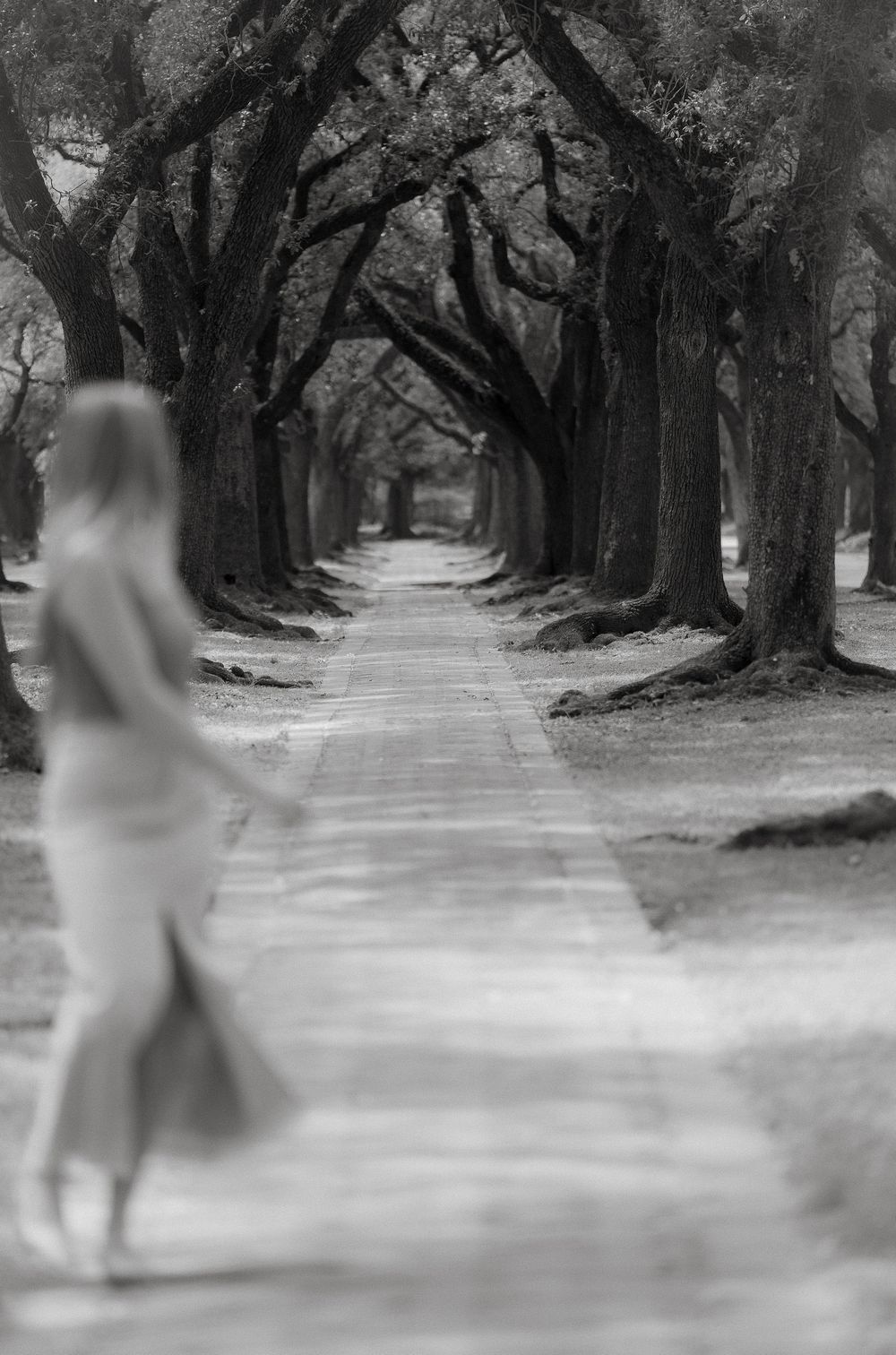 A ghostly figure appears on a misty path lined with ancient oak trees creating an ethereal black and white scene.