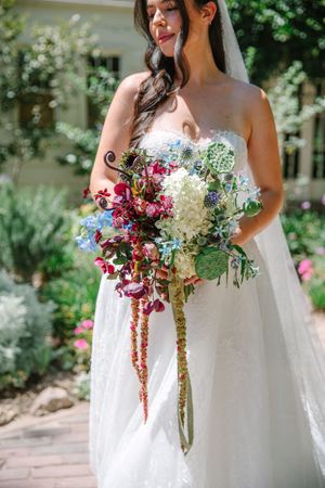 A stunning cascading bridal bouquet features colorful flowers and hanging amaranthus against a white wedding dress.