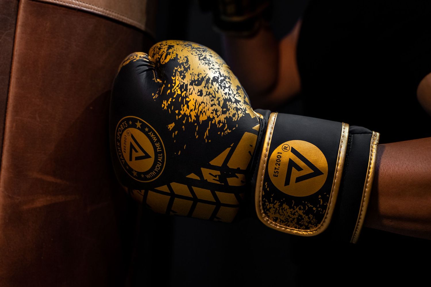 Boxing gloves with gold and black designs photographed in dramatic lighting.