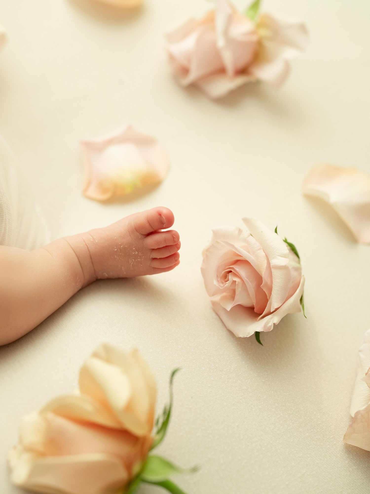 Small bare baby feet rest gently among delicate pink roses on white fabric background.