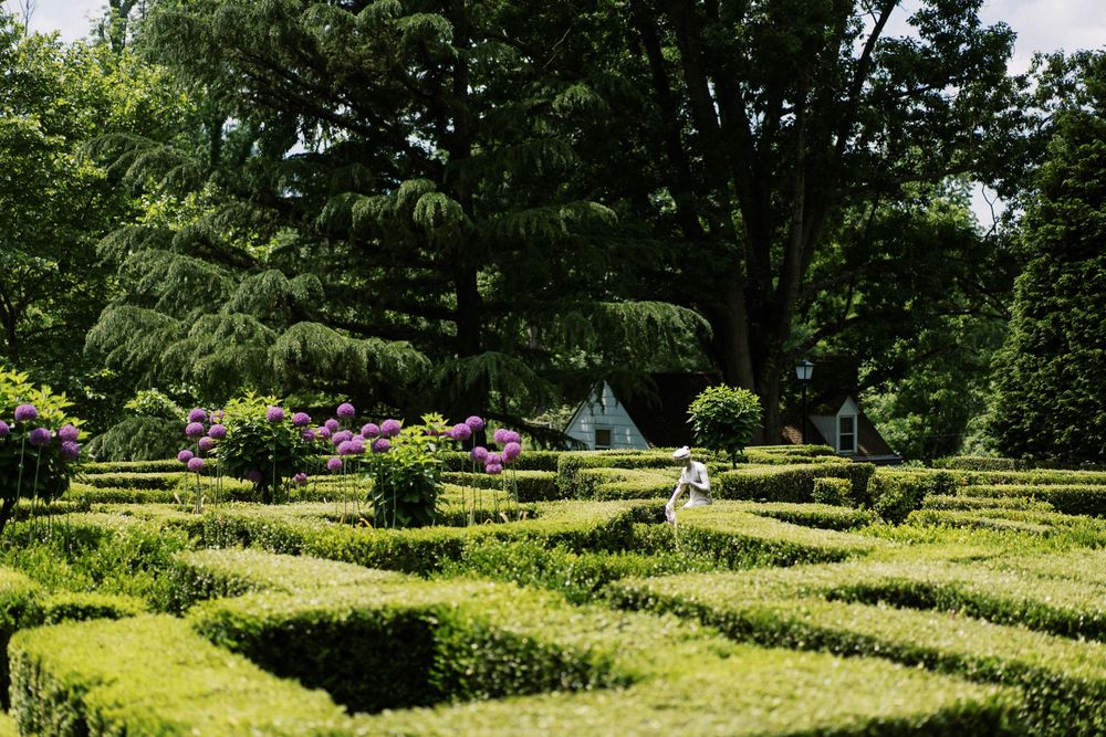 Manicured garden hedges and pathways create geometric patterns in a lush green landscape on a sunny day.