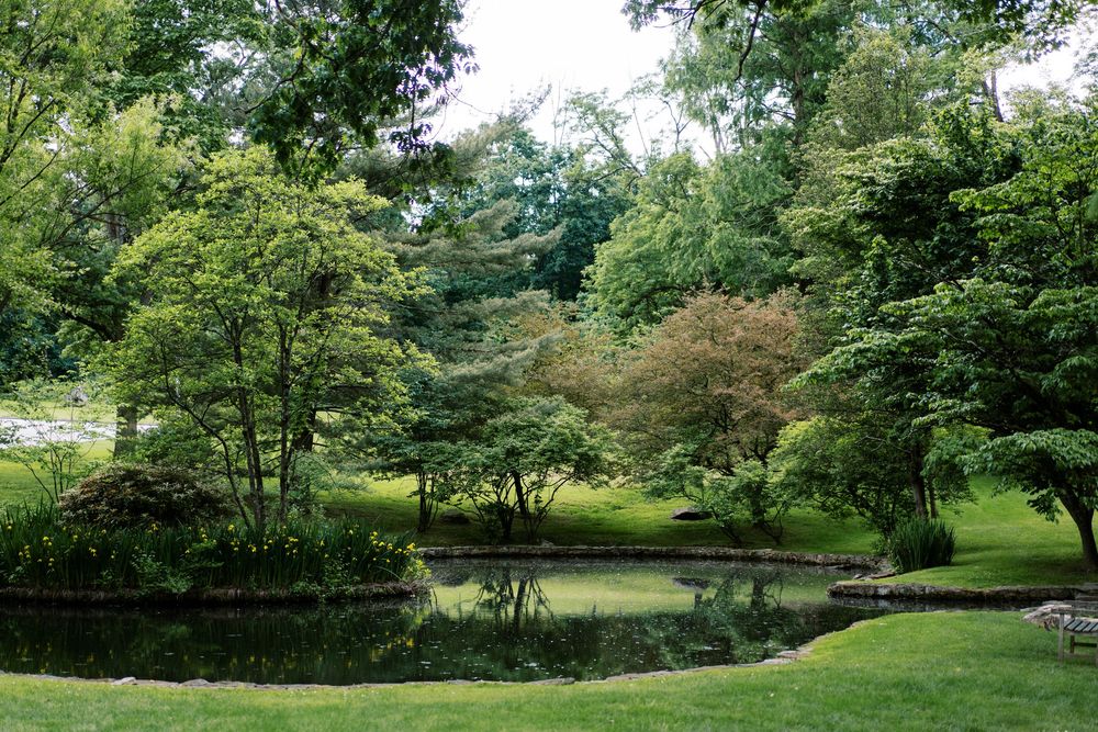Rolling green lawn surrounded by mature trees in a tranquil garden setting.