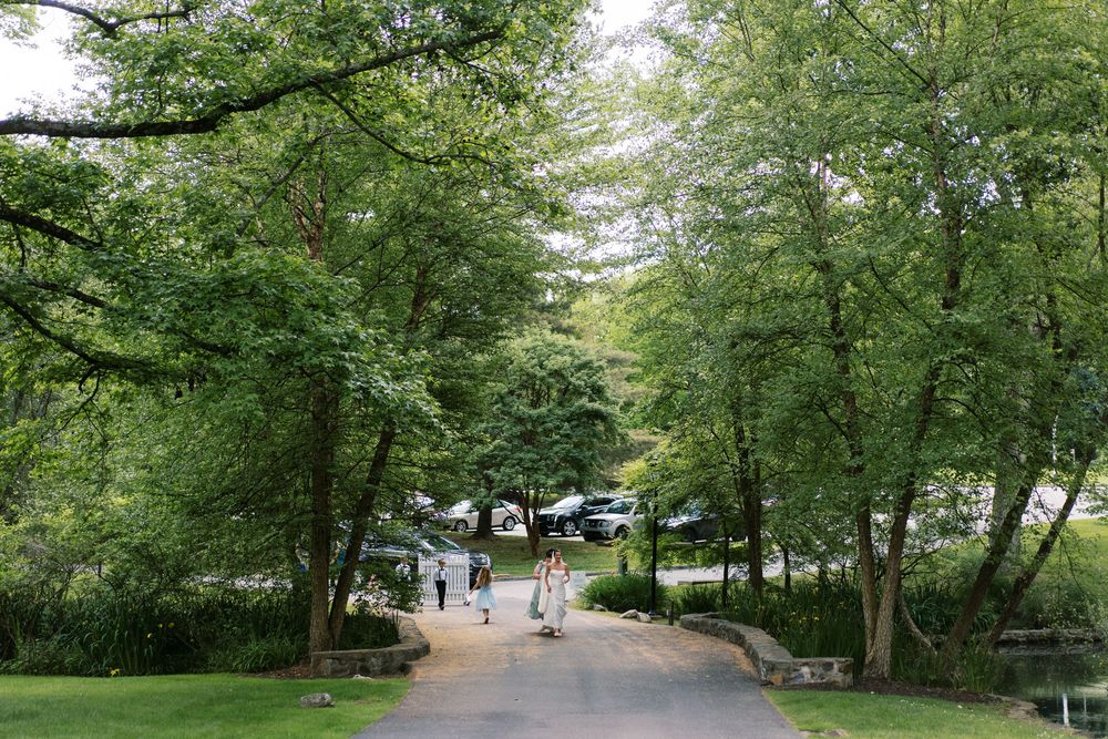 A tree-lined pathway curves through a lush green park setting on a sunny day.