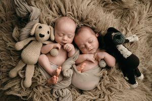 A collection of sleeping newborn portraits on soft fur with stuffed animals arranged in a creative photo collage.
