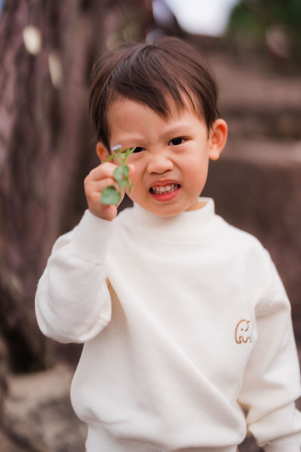 A small boy holding a green leaf along Battleship Rock hiking trail.