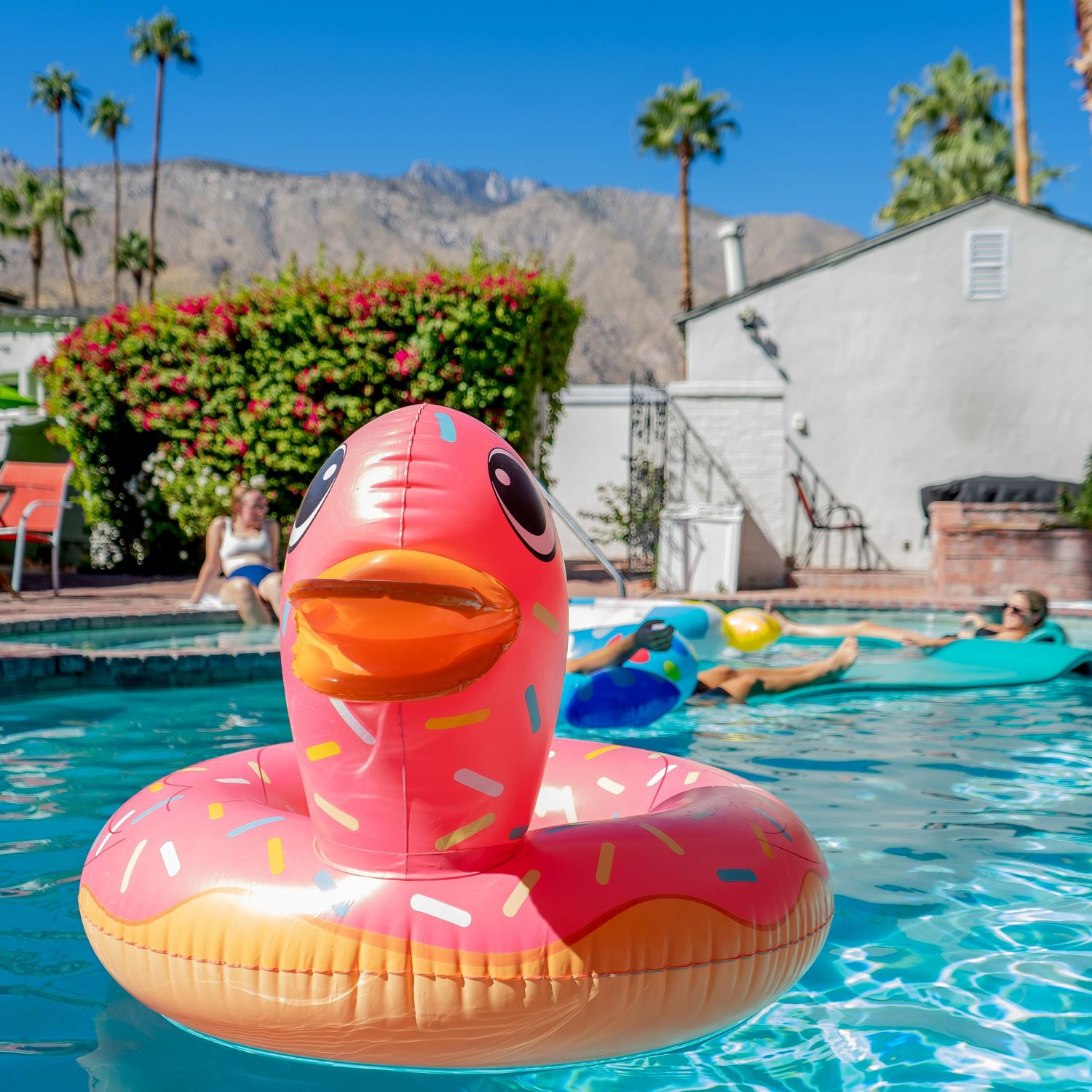 Colorful inflatable pink donut pool float drifts peacefully in bright blue swimming pool water against desert landscape.