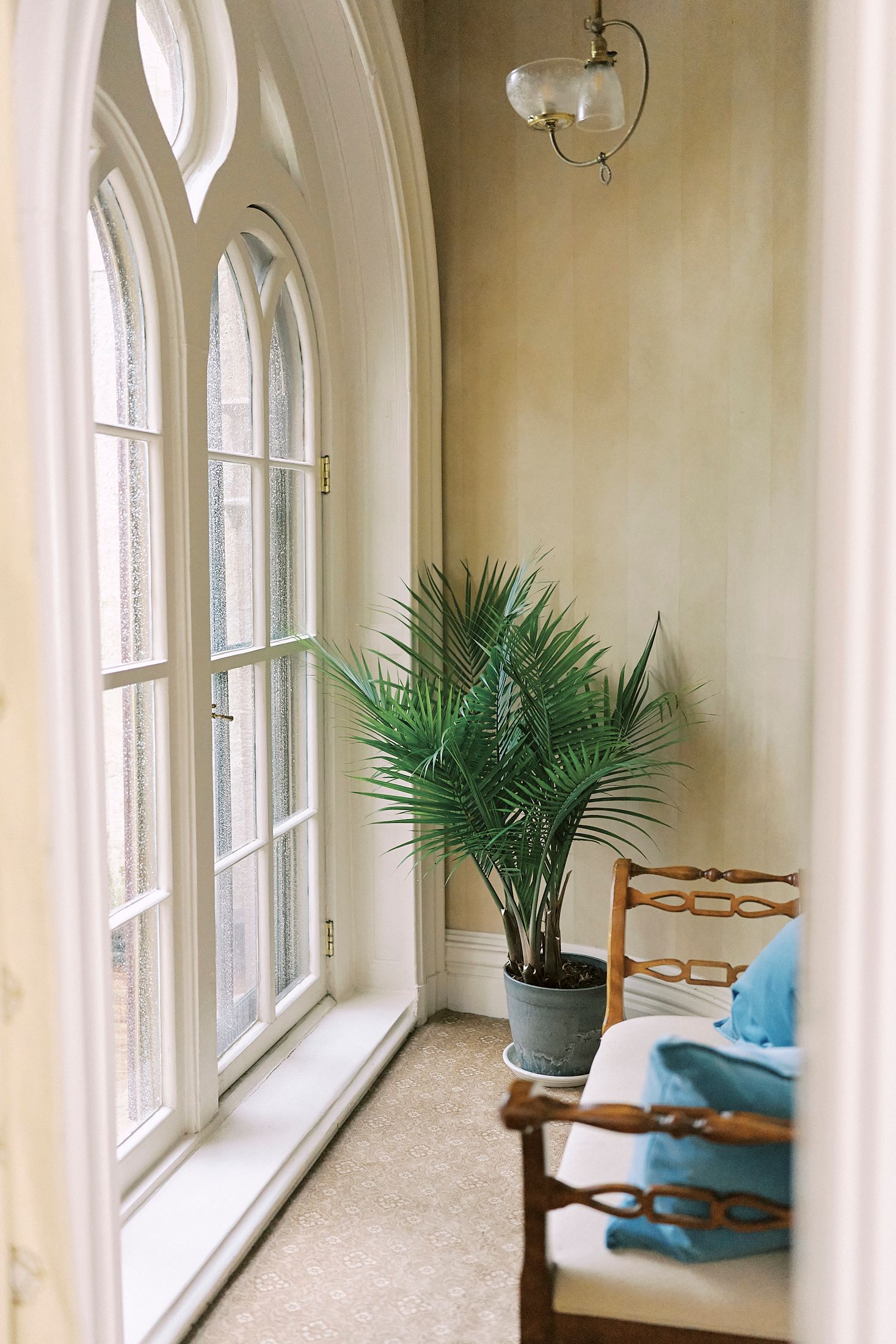 Bright sunroom with arched windows, potted palm plants, and wooden chairs creating an elegant sitting area.