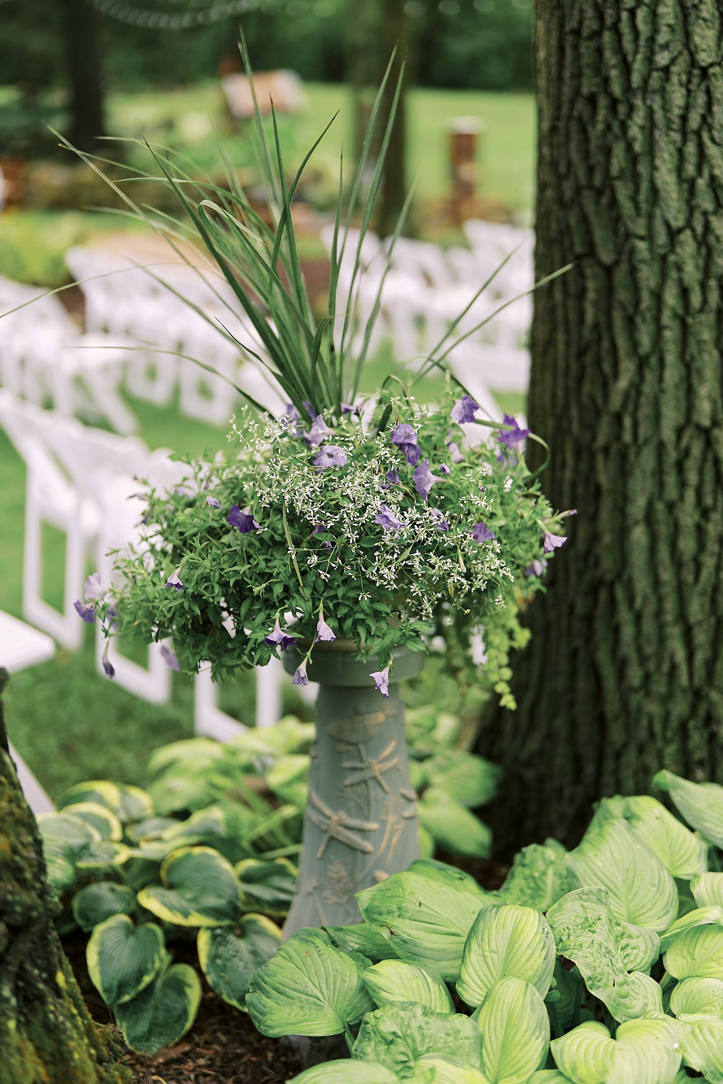 Series of matching metal milk jugs filled with purple flowers decorating the base of large trees alongside hostas.