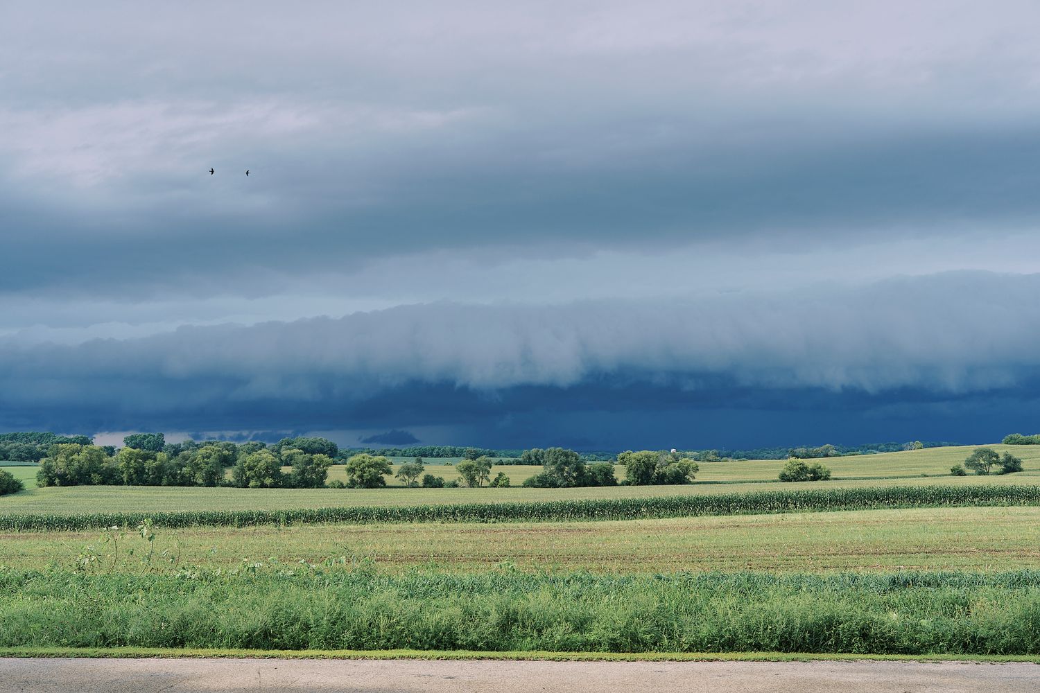 A dramatic panoramic view of storm clouds gathering over vast agricultural fields and farmland on the horizon.