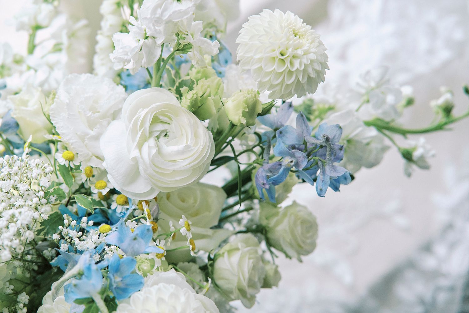 Beautiful white ranunculus and delphinium flowers in soft pastel blue and cream tones create an ethereal floral arrangement.