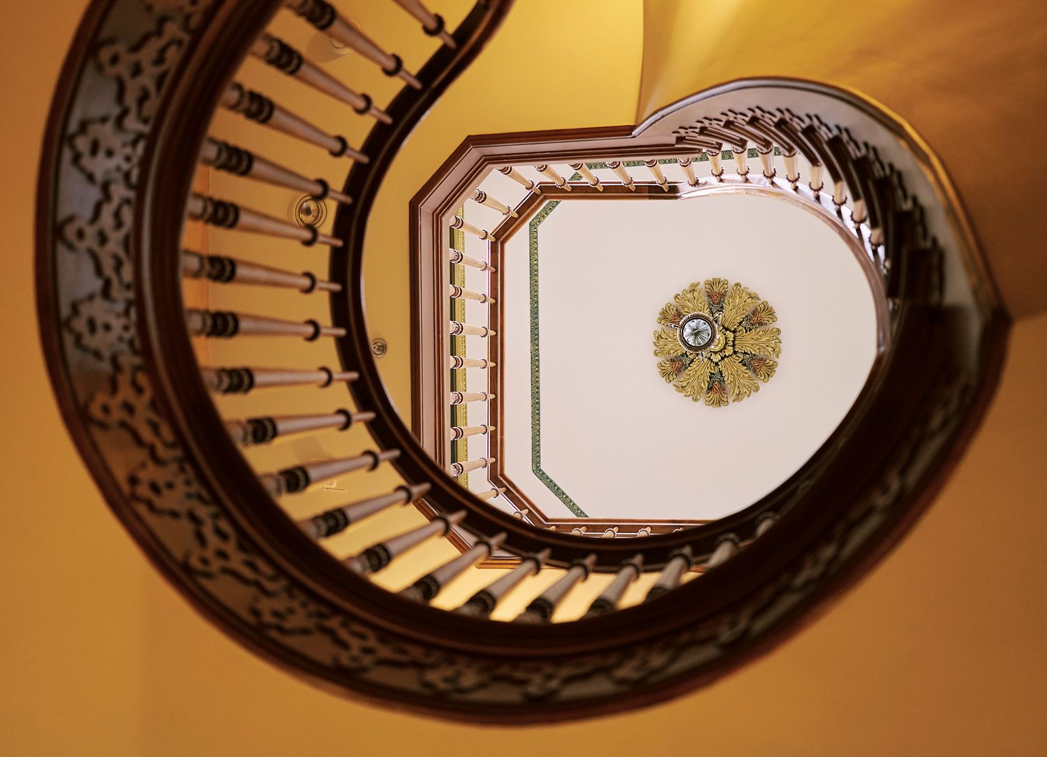 Looking up through a spiral staircase with decorative railings and golden lighting casting shadows on the curved walls.