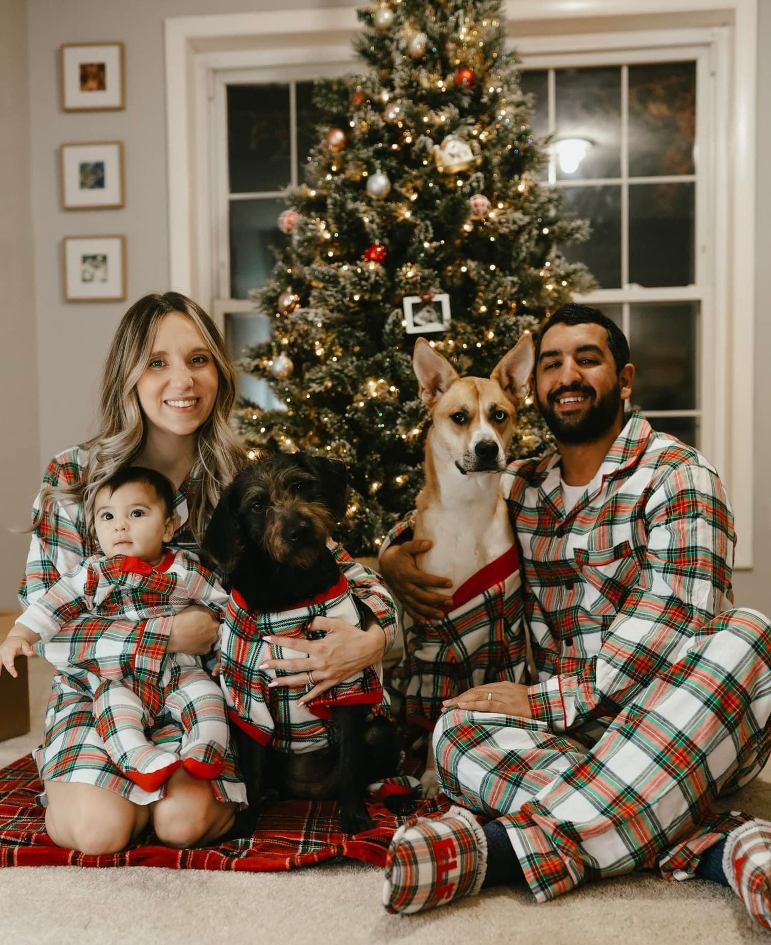 A family wearing matching plaid holiday pajamas poses with their dogs in front of a decorated Christmas tree.