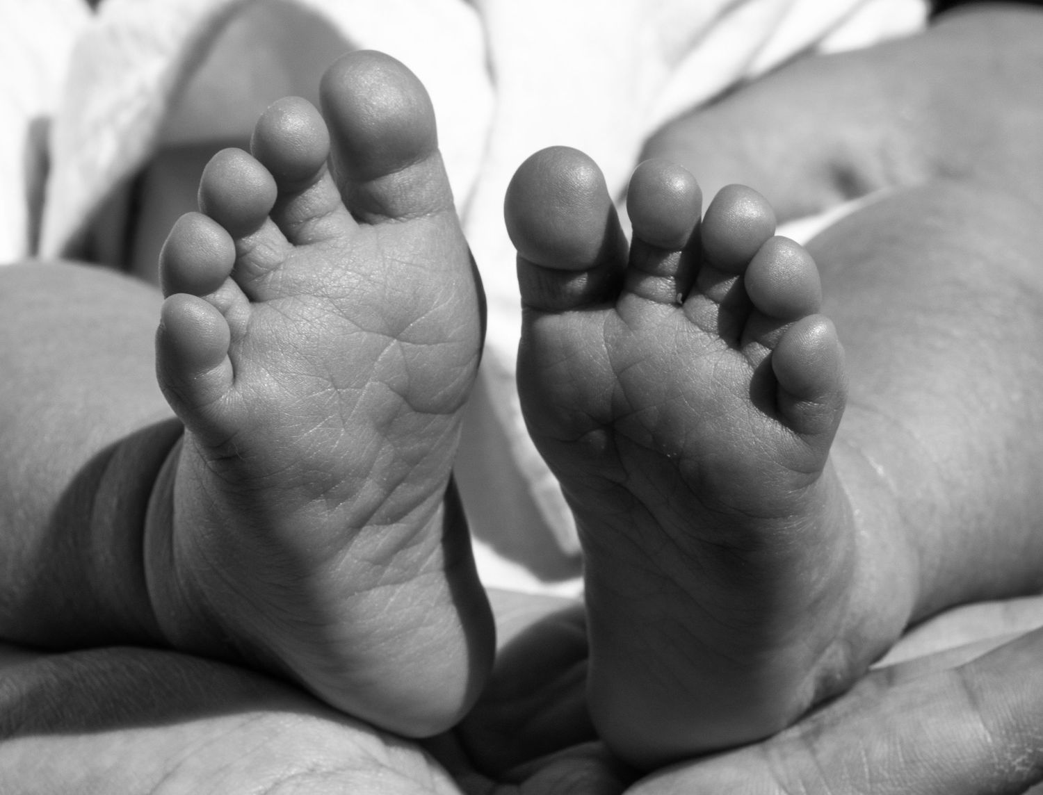 newborn lifestyle photography photographer franklin mountain state park el paso tx texas