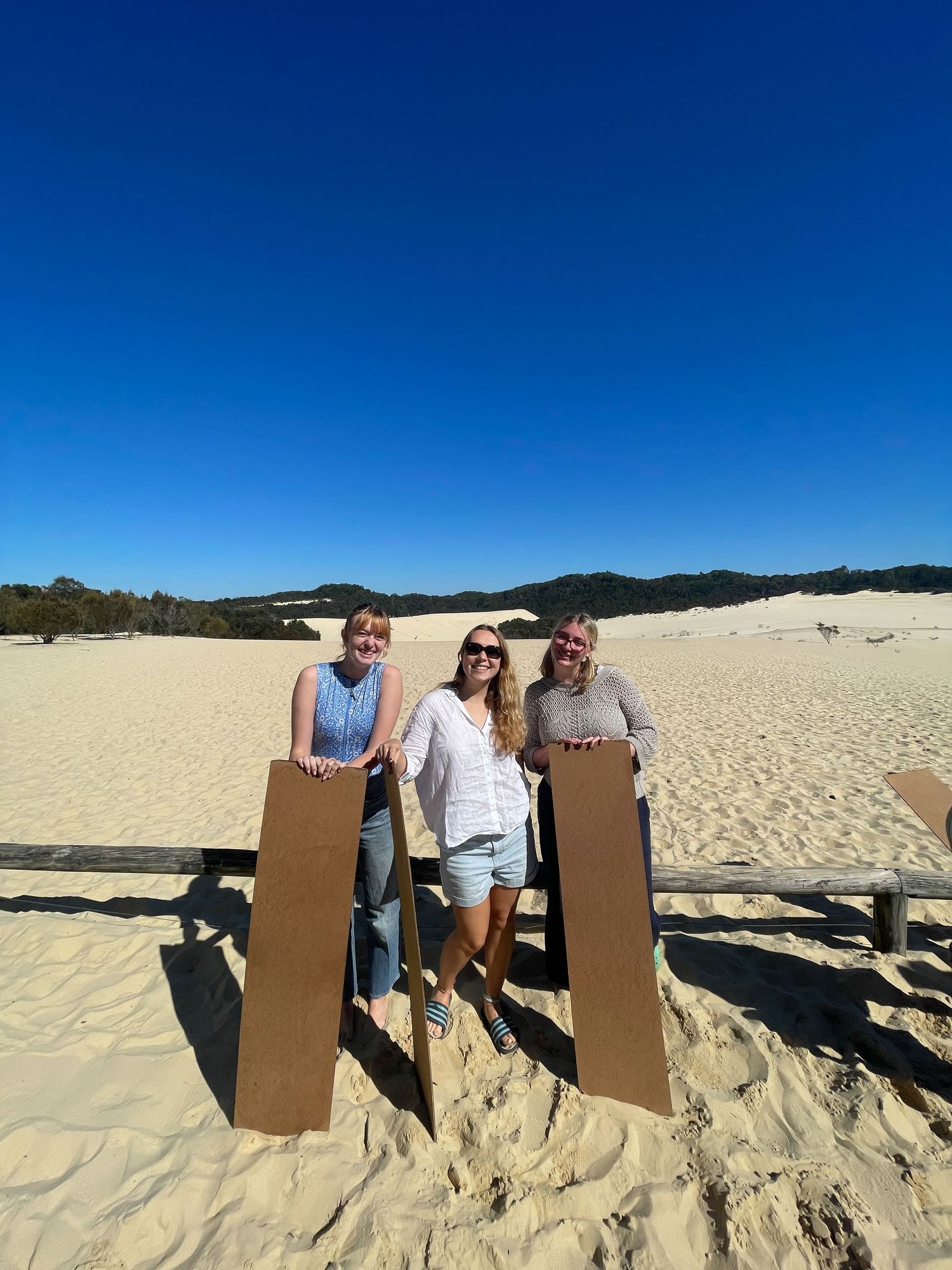 A sequence of four sandy beach photos showing people posing playfully behind cardboard cutouts against blue skies.