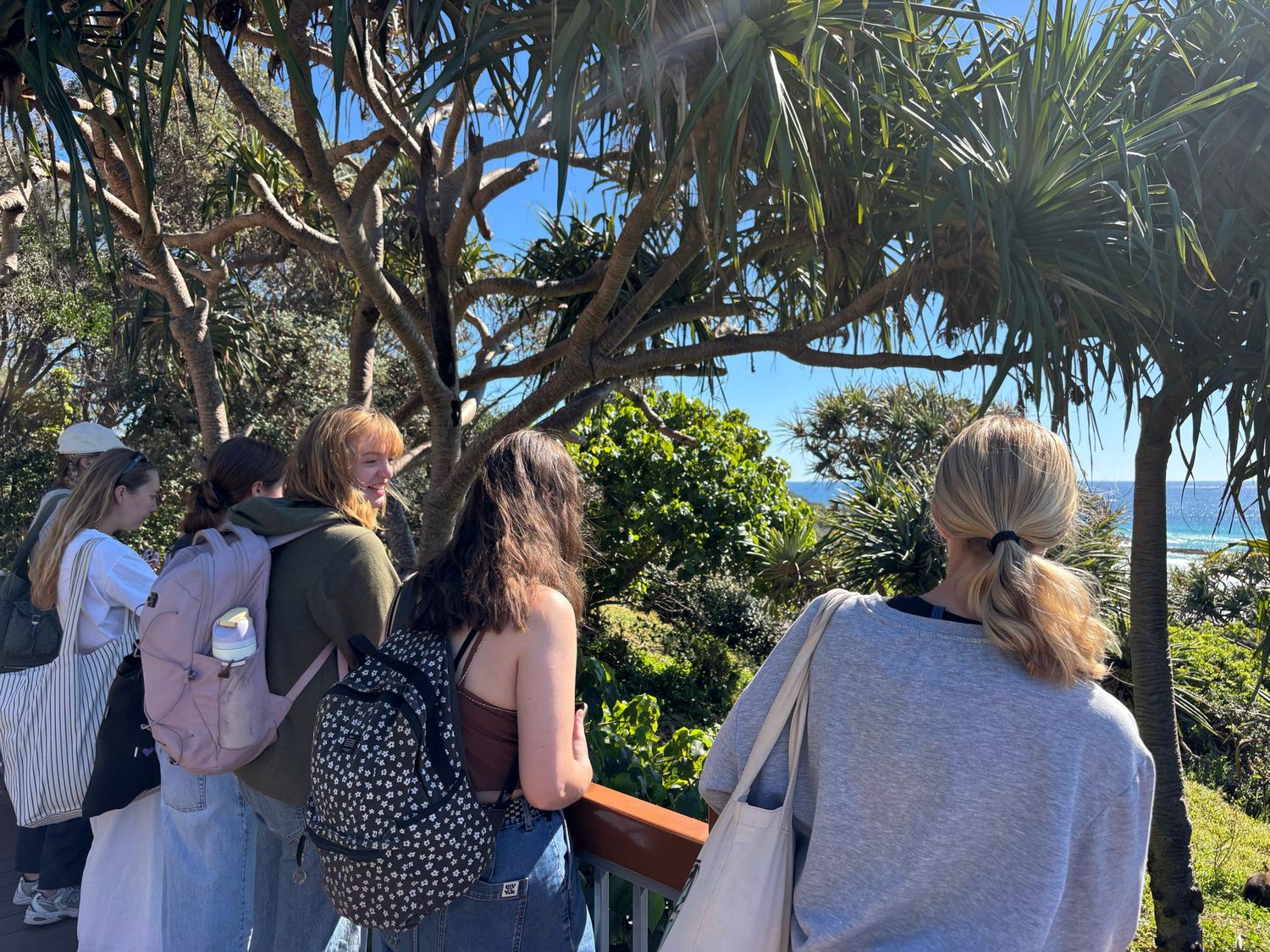 A group of people gathered at a coastal lookout point surrounded by tropical foliage and ocean views.