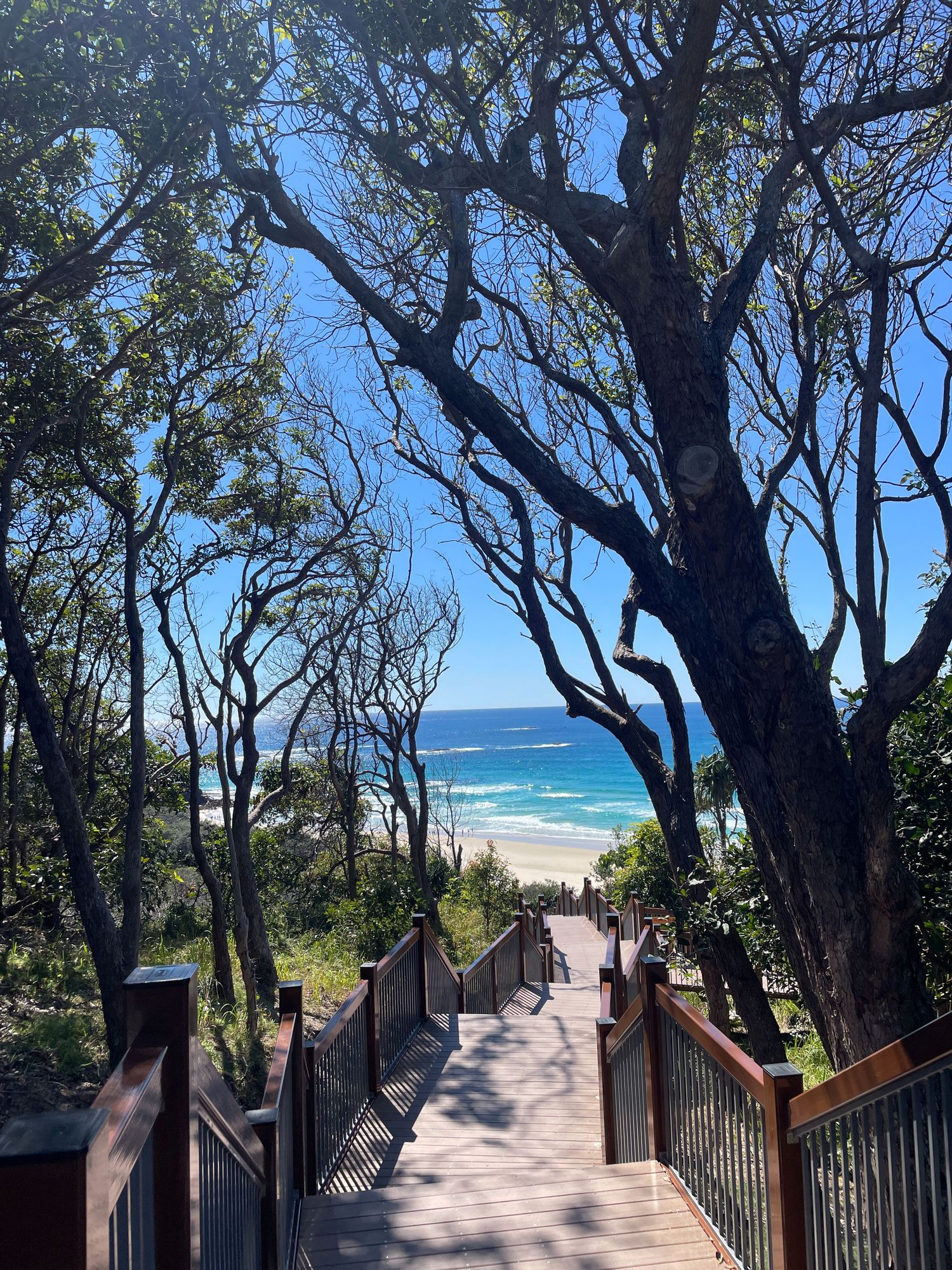 A wooden boardwalk leads down to a pristine beach through coastal trees with turquoise ocean waves visible in the distance.