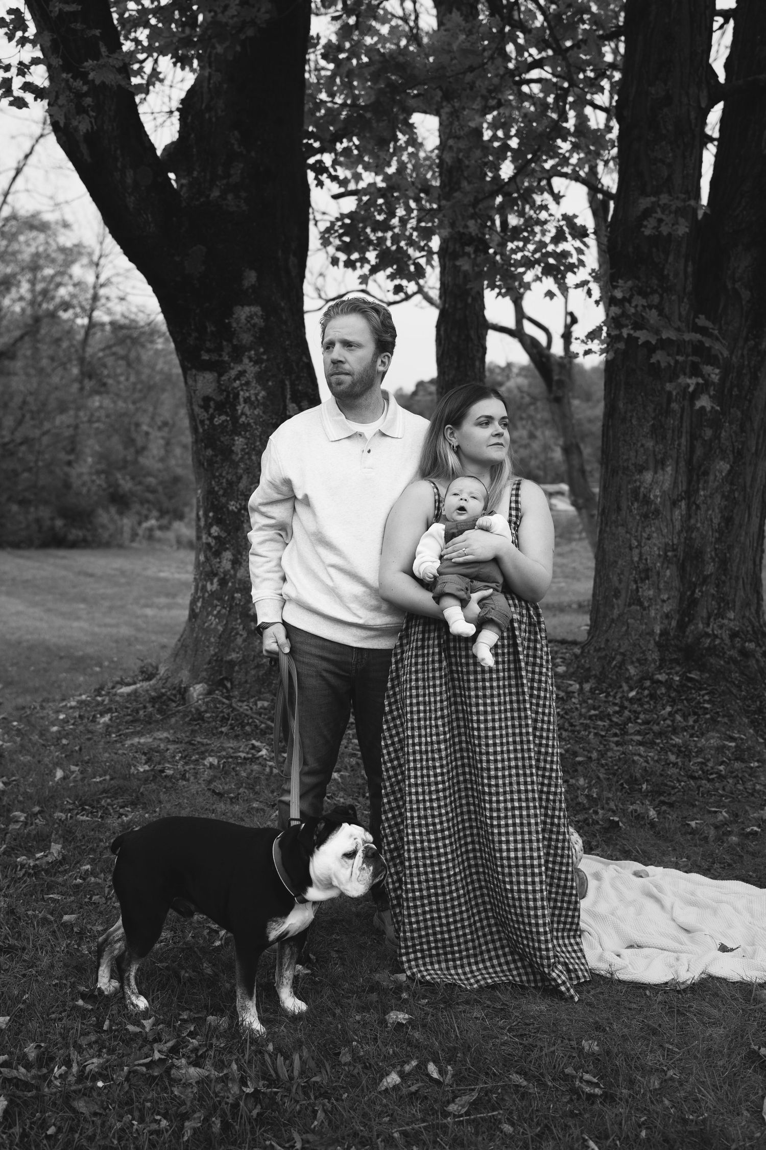 A family photo session relaxed on a blanket in a wooded area with their black and white dog in Bellbrook Ohio.