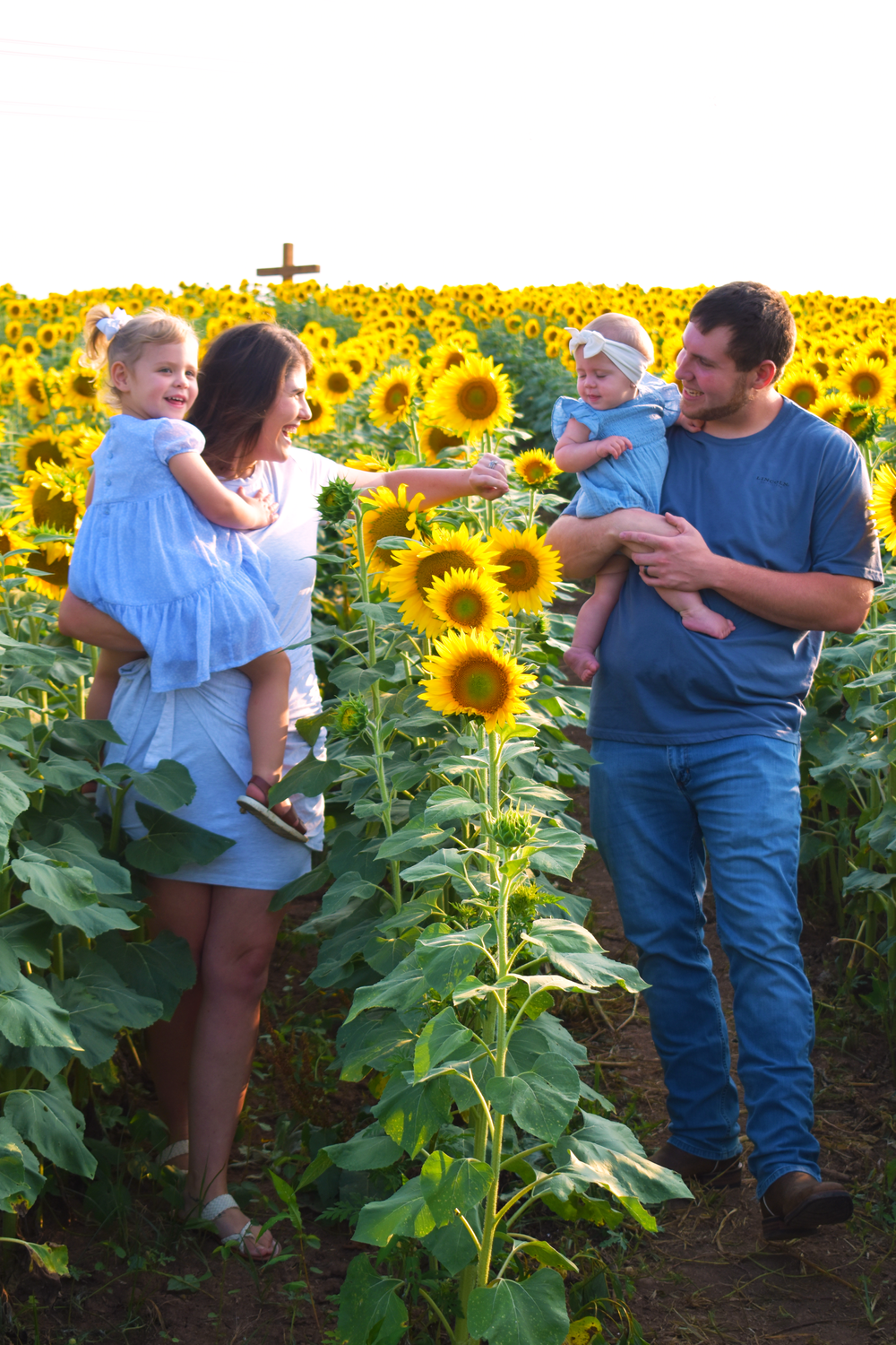 Family enjoying time together among tall blooming sunflowers.