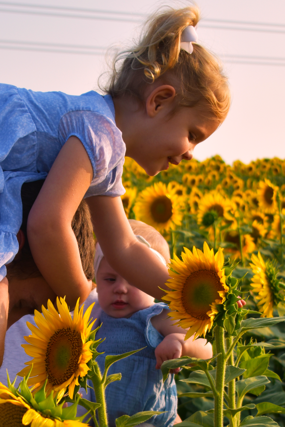Children exploring bright yellow sunflowers in a field during golden hour.