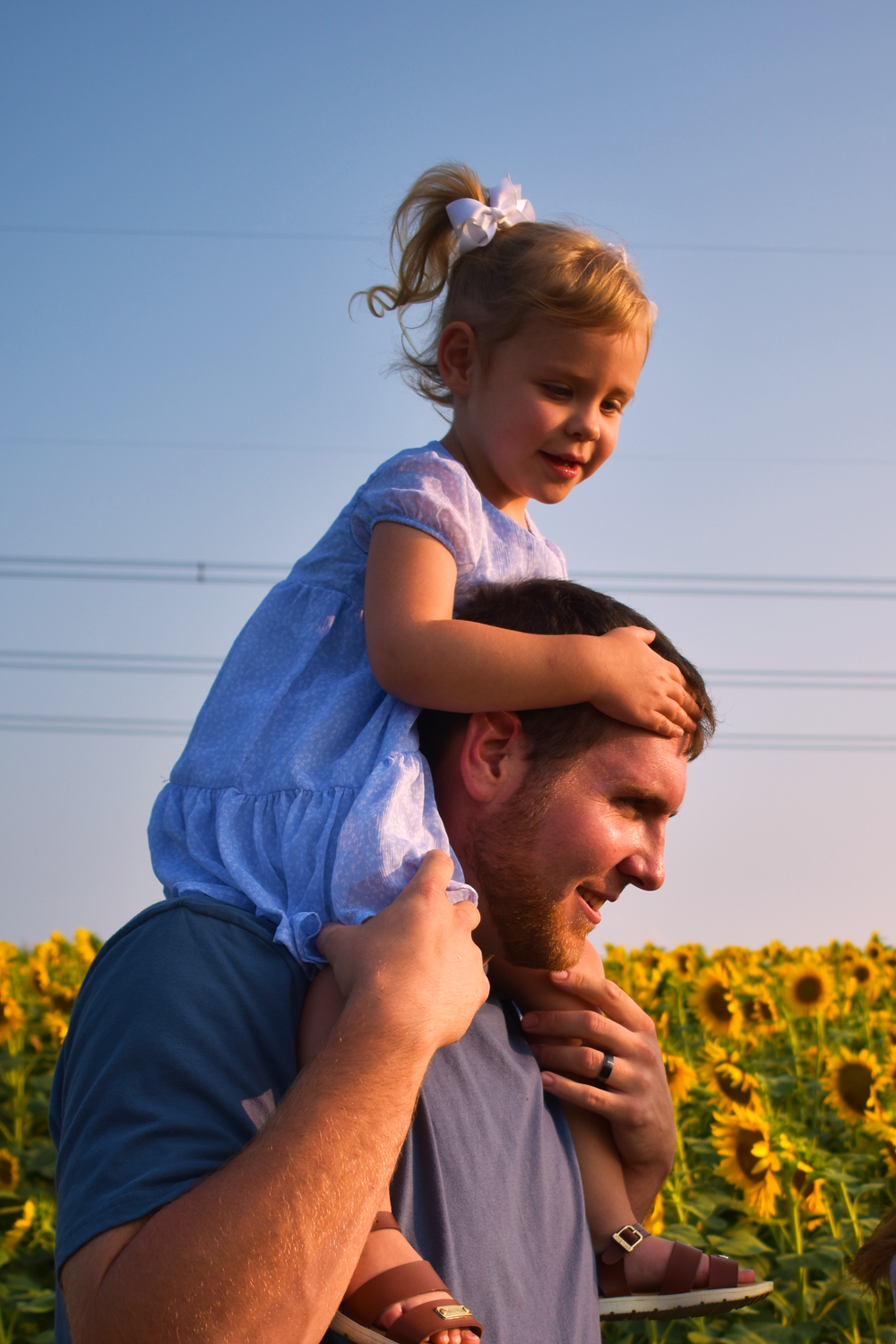 Child rides on shoulders through sunflower field at sunset.