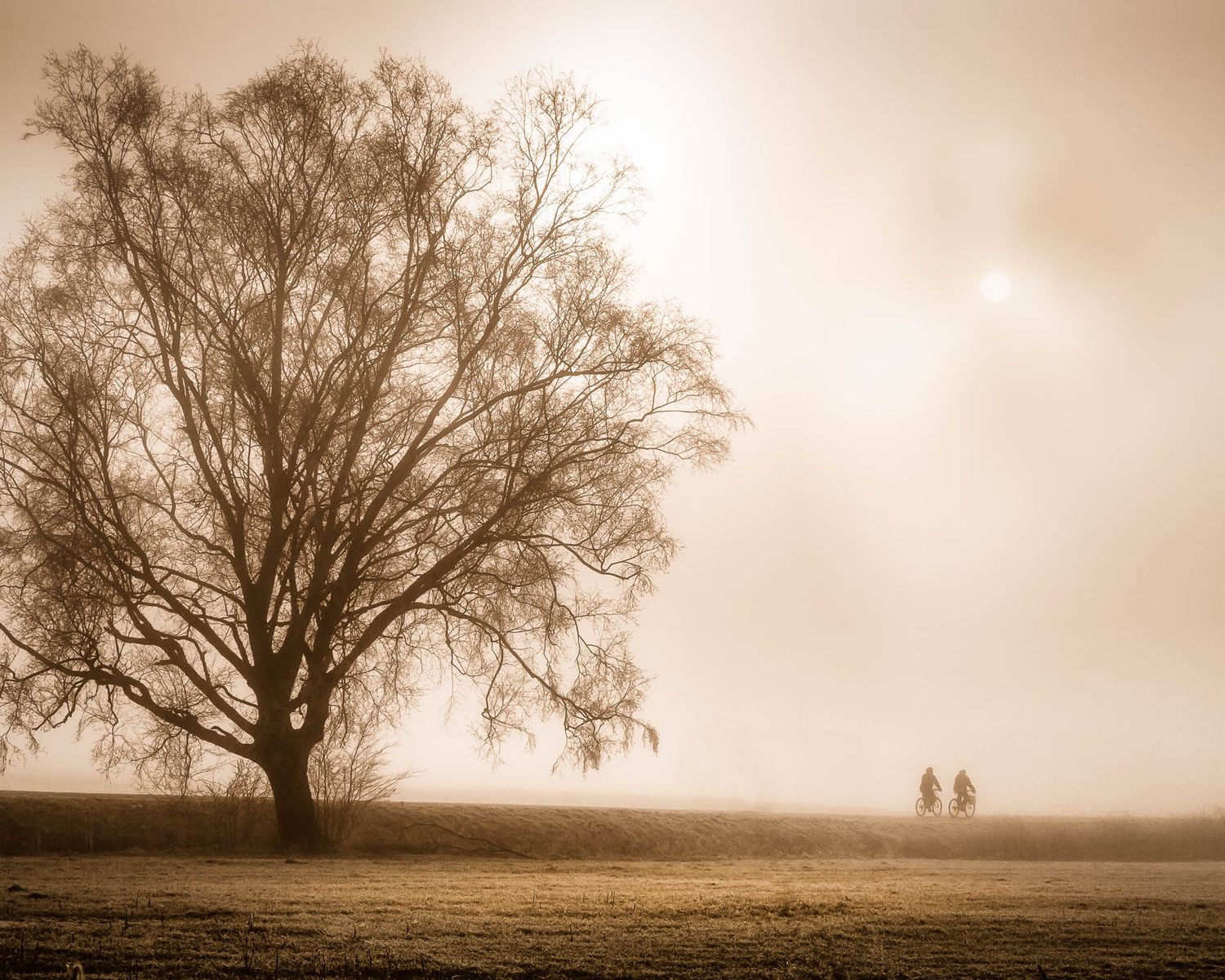 Pitt Meadows, British Columbia, Fog, Hale Rd