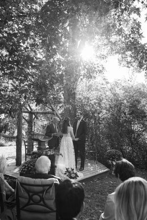 A series of black and white photos showing a garden setting with trees, sunlight, and outdoor furniture.