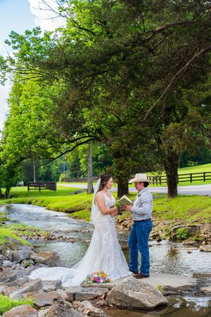 Bride and groom exchange vows on rocks by a creek, surrounded by lush green trees on a sunny day.