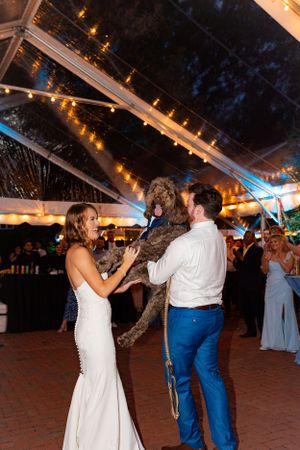Wedding couple dancing with their dog under a tent with twinkling lights at an evening reception.