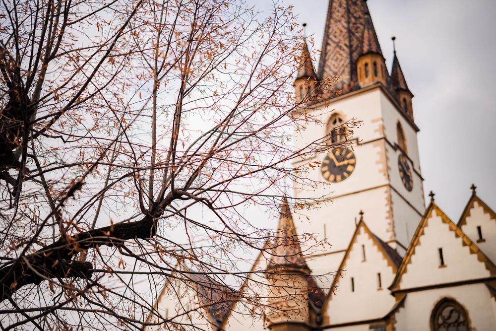Church steeple and bare winter branches create a dramatic silhouette against cloudy sky.