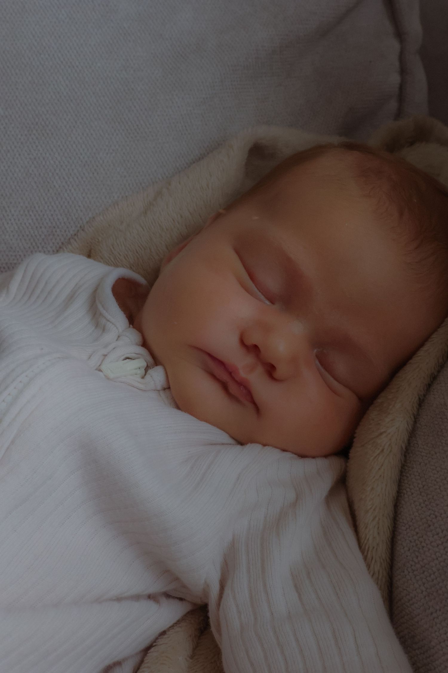 newborn portrait, light and airy, natural light, derheamn