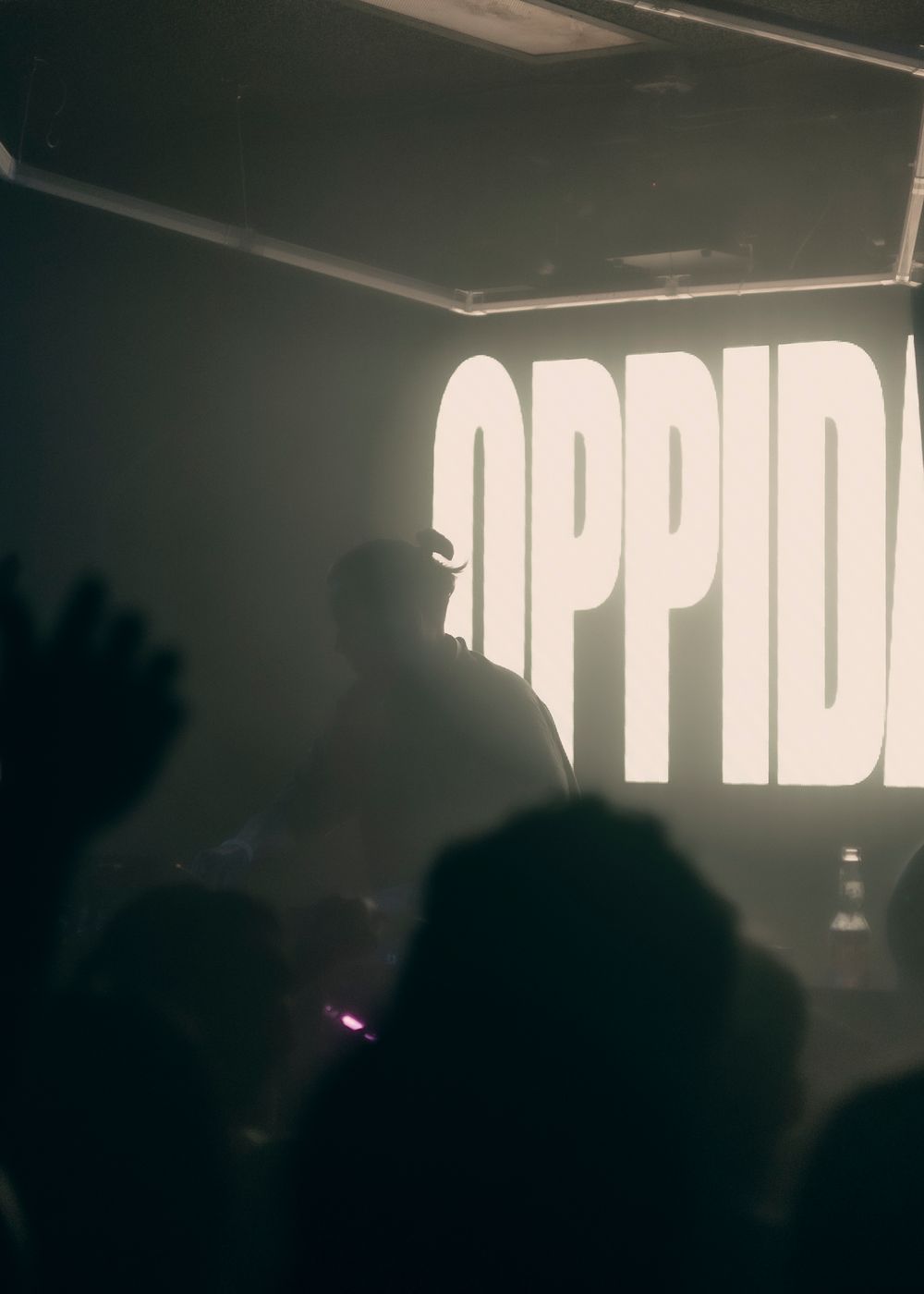 DJ Oppidan performing in a club