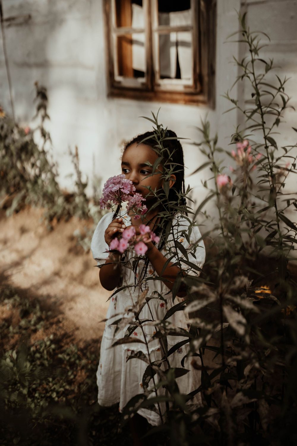 A child in white dress smells pink flowers growing by a rustic window.
