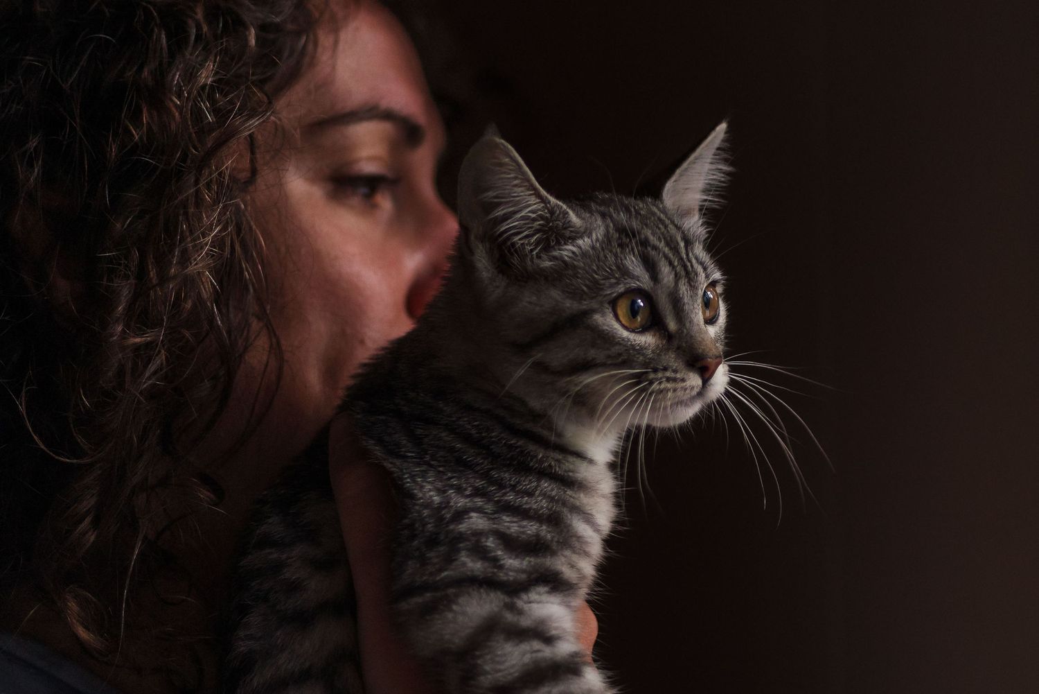 Close-up side profile of person holding grey tabby cat in dark setting.
