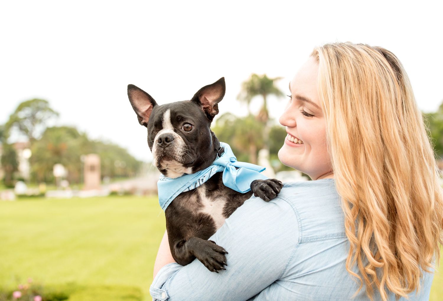 Young woman holding her special needs Boston Terrier puppy during a session with a pet photographer in Clearwater, Florida