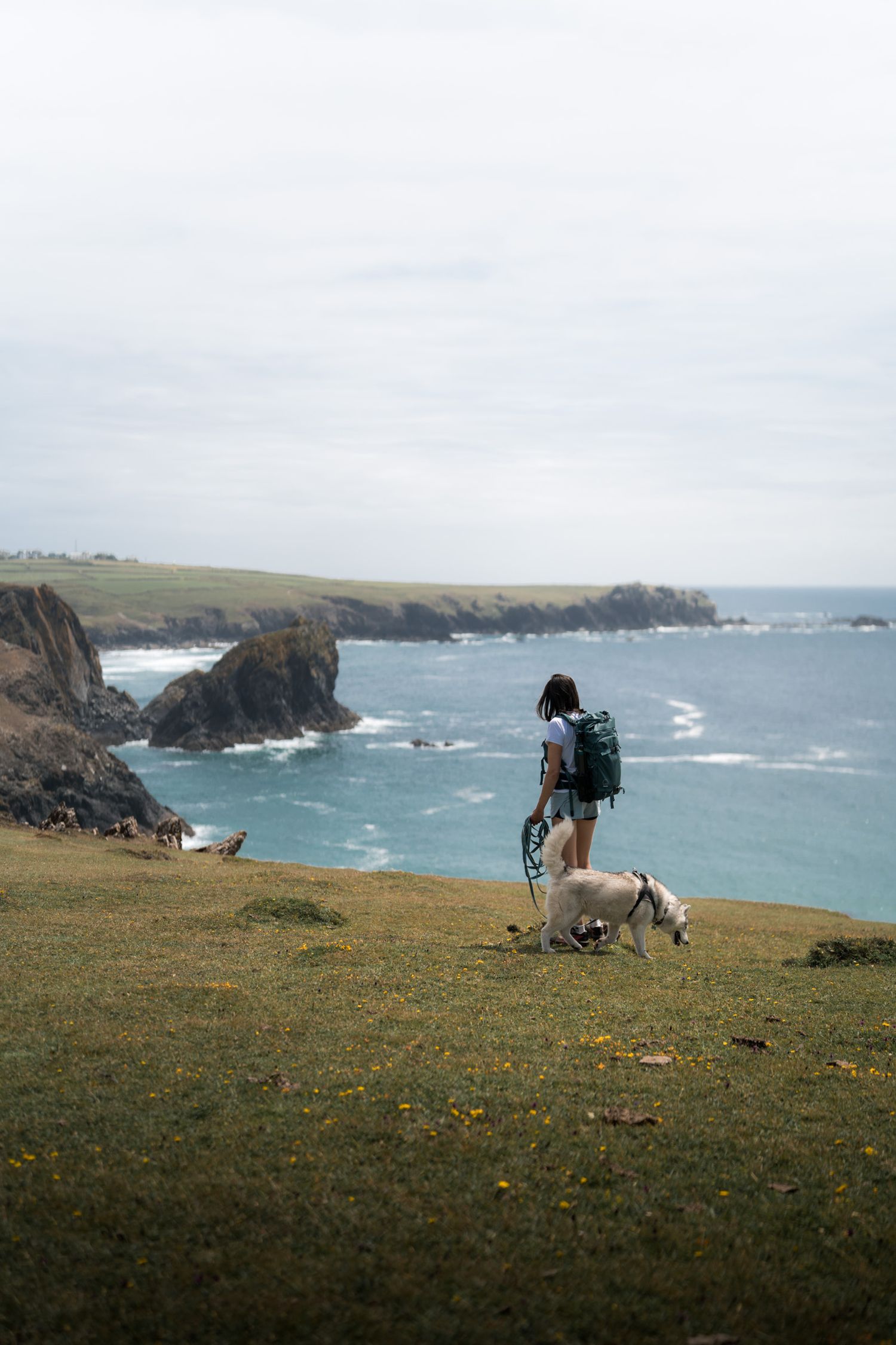 randonneuse avec son chien à kynance cove dans les cornouailles en angleterre