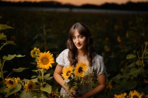 Golden sunflowers bloom bright in a field at sunset with warm lighting creating a dreamy summer scene.