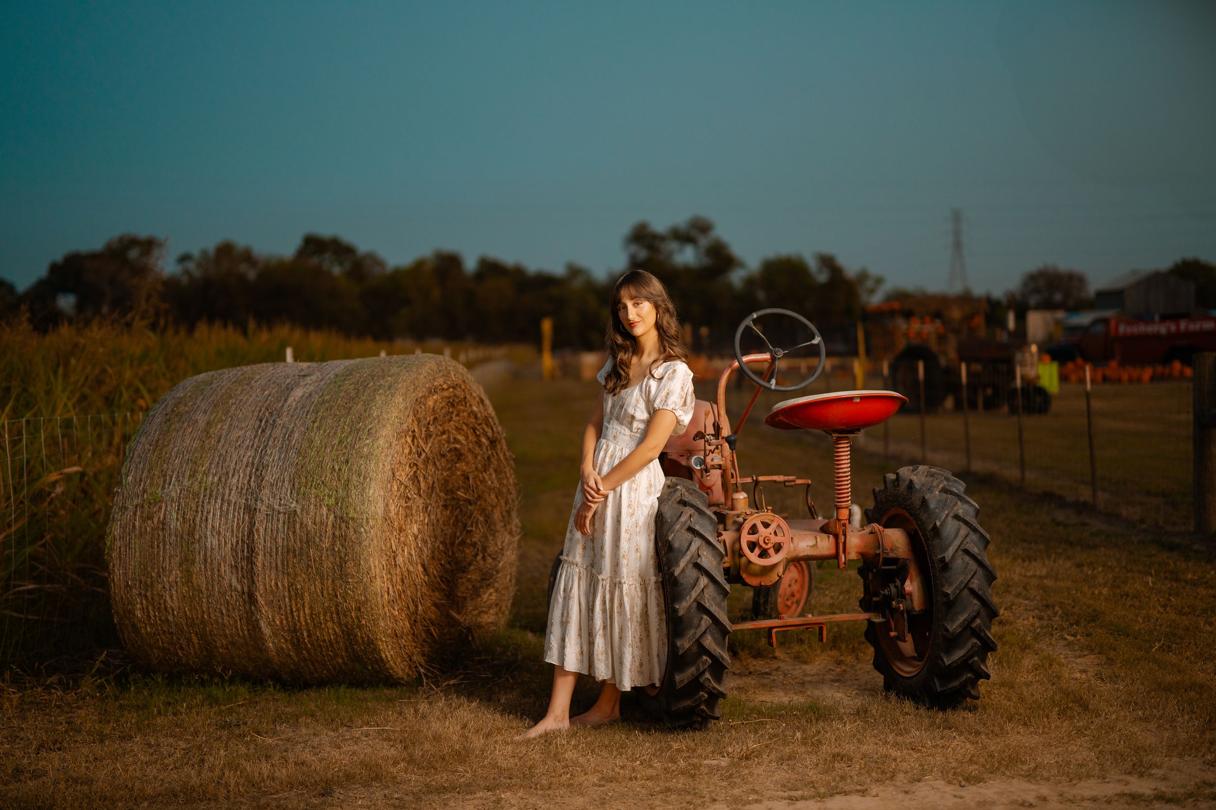 Vintage tractor parked next to a large round hay bale in a rustic farm field at golden hour.