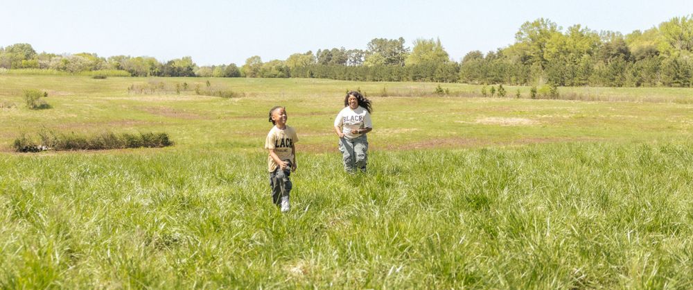 People biking on a path through a sunny meadow with green grass and trees in the distance.