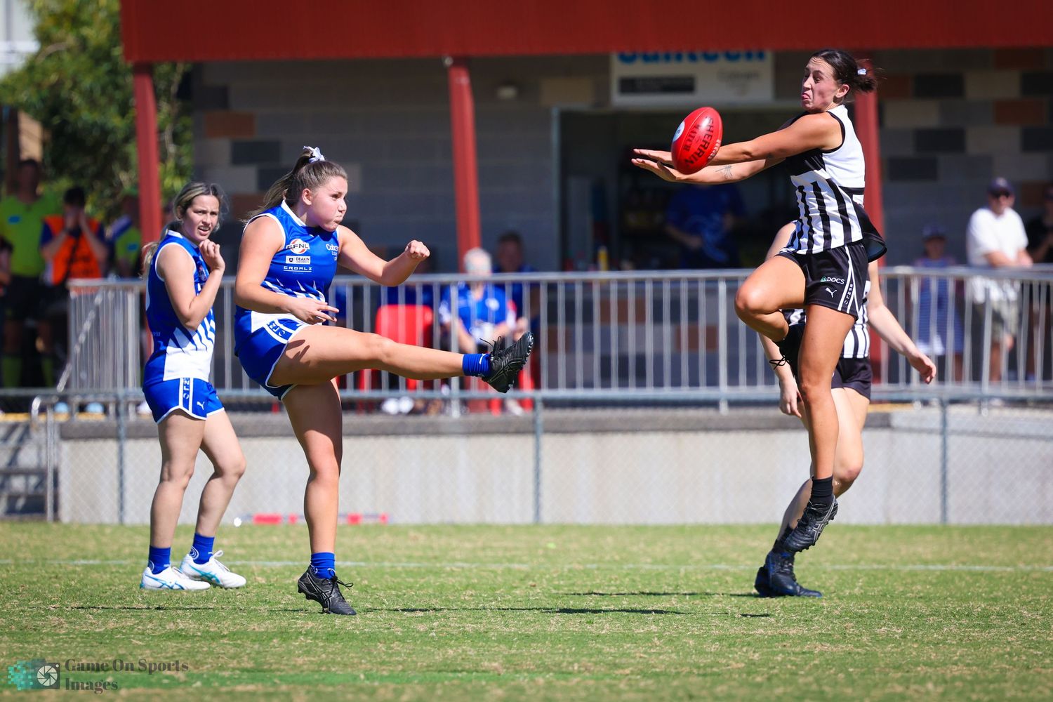 Melbourne Sports Photographer.  Ringwood East v Surrey Park.  AFL
