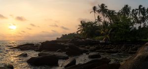 Panoramic tropical beach landscape with palm trees at golden sunset.