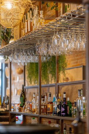 Upscale bar interior with hanging wine glasses and bottles displayed against a brick wall with hanging plants.