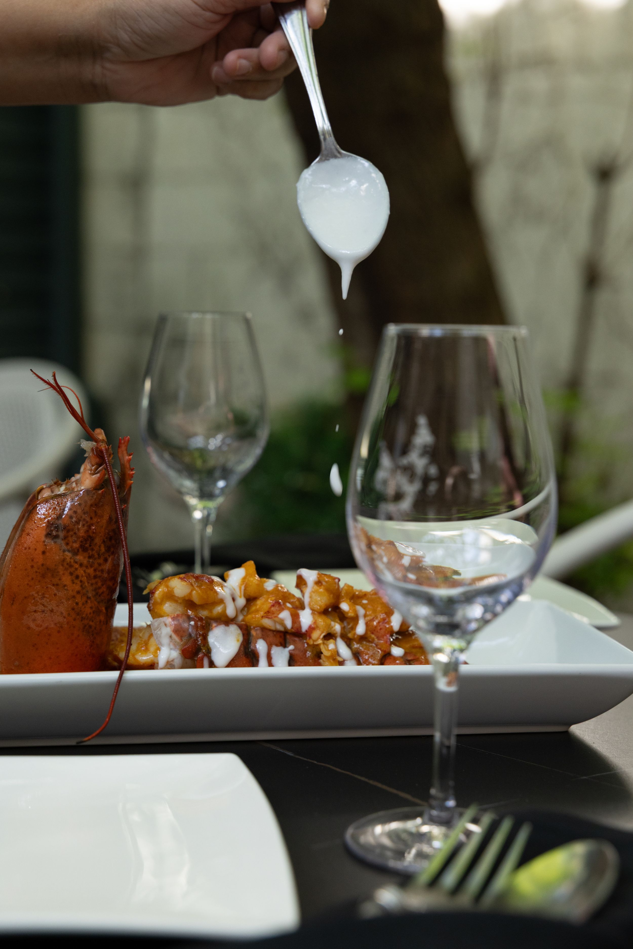 A hand drizzles white sauce over plated food with lobster tail and wine glasses in an elegant dining setting.