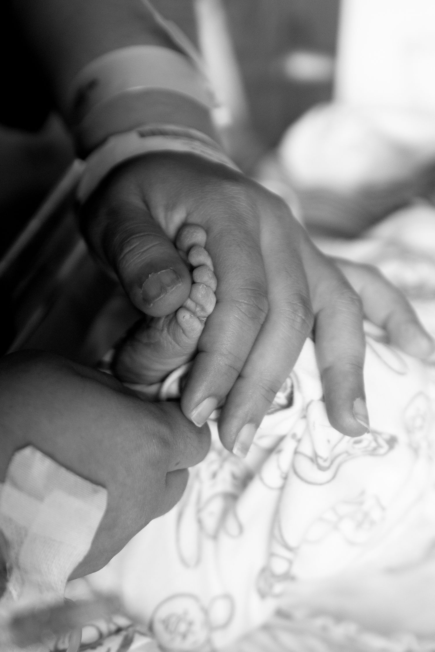 Black and white photo showing adult's hand tenderly holding infant's tiny hand against white blanket.
